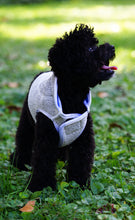 Load image into Gallery viewer, "Buddy" Vest
