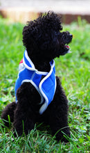 Load image into Gallery viewer, "Buddy" Vest