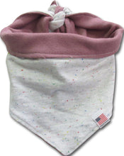 Load image into Gallery viewer, "Z" Reversible Dog Bandana