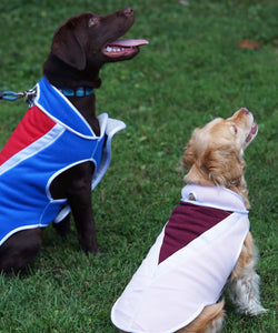 "Buddy" Vest
