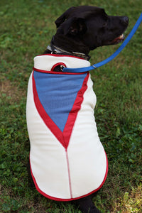 "Buddy" Vest