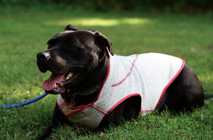 "Buddy" Vest
