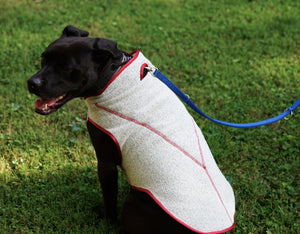 "Buddy" Vest