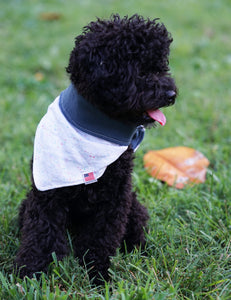 "Z" Reversible Dog Bandana