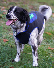 Load image into Gallery viewer, &quot;Buddy&quot; Vest
