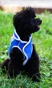 "Buddy" Vest