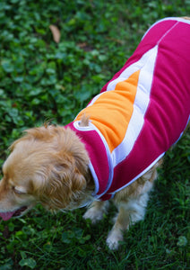 "Buddy" Vest