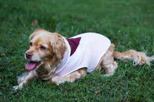 "Buddy" Vest