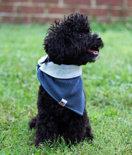 Load image into Gallery viewer, &quot;Z&quot; Reversible Dog Bandana
