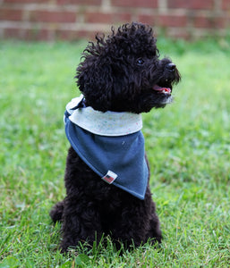 "Z" Reversible Dog Bandana