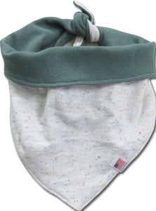 "Z" Reversible Dog Bandana