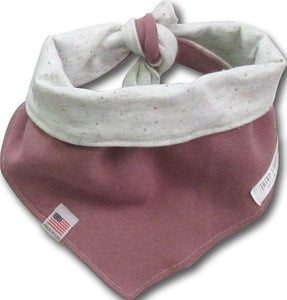 "Z" Reversible Dog Bandana