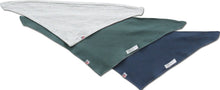 Load image into Gallery viewer, &quot;Z&quot; Reversible Dog Bandana

