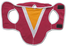 Load image into Gallery viewer, &quot;Buddy&quot; Vest
